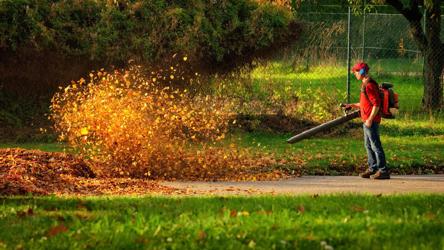 man,operating,a,heavy,duty,leaf,blower:,the,leaves,are