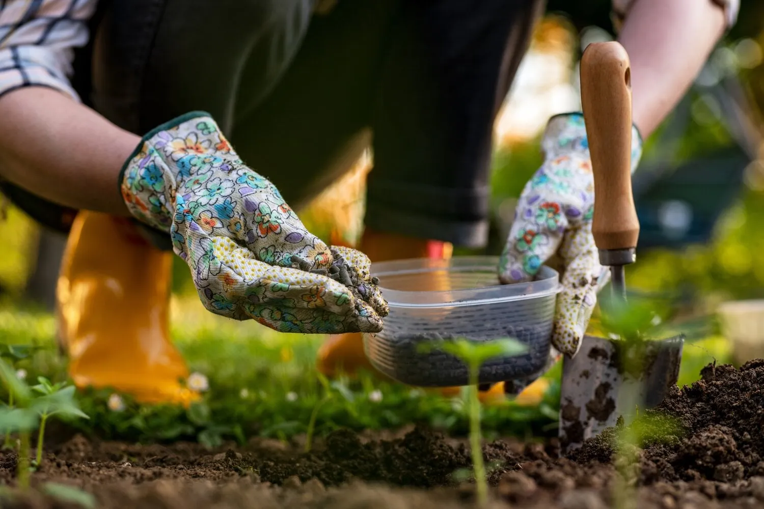 eco,friendly,gardening.,woman,preparing,soil,for,planting,,fertilizing,with