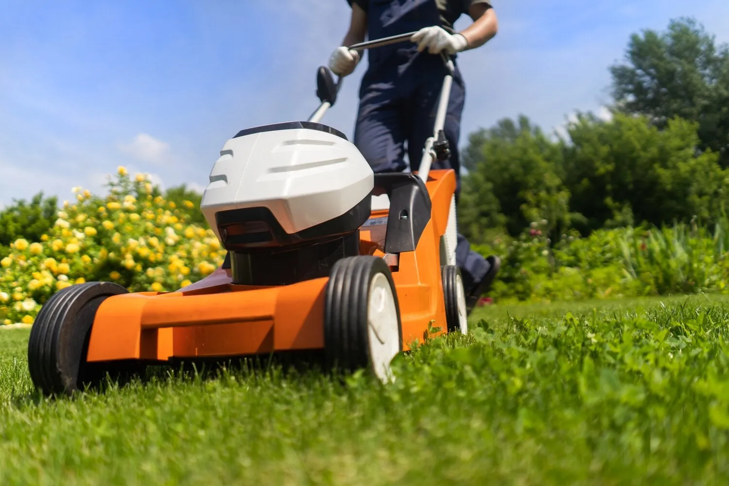 a,young,man,is,mowing,a,lawn,with,a,lawn