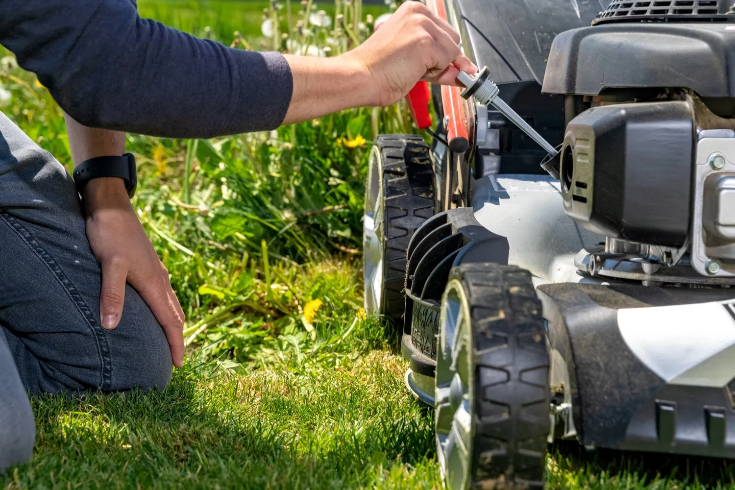 change,and,check,the,oil,in,the,motor,lawn,mower
