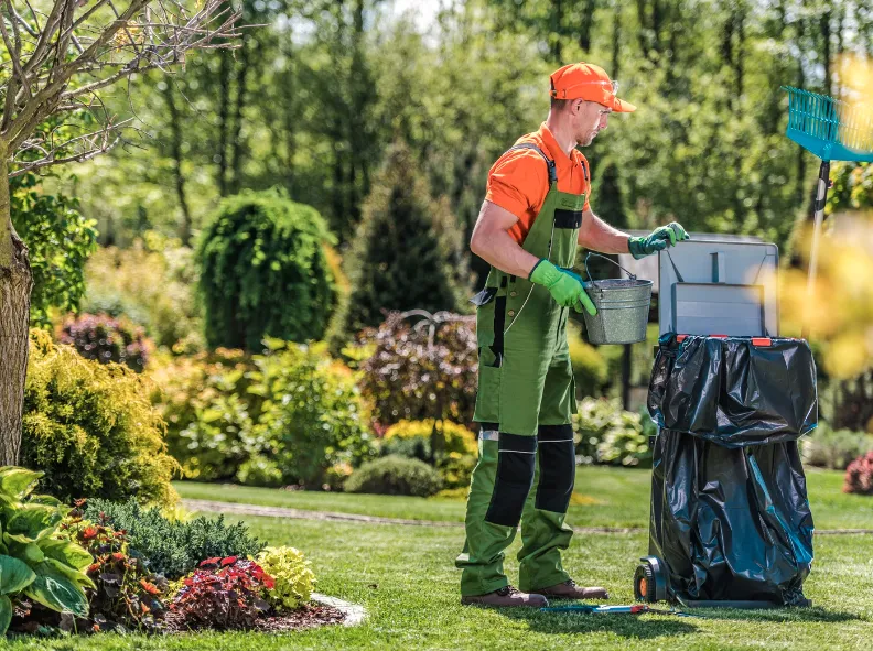 understanding the cost of yard maintenance services is essential for australian homeowners
