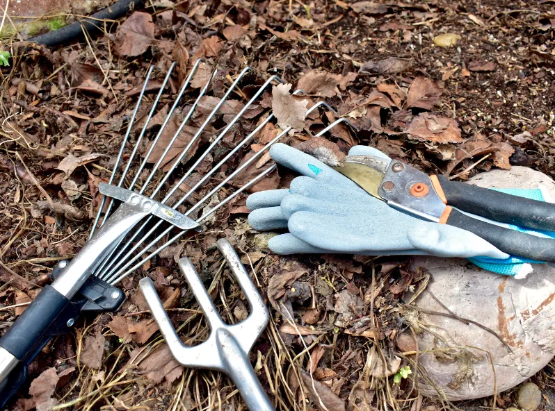 yard care with basic tools