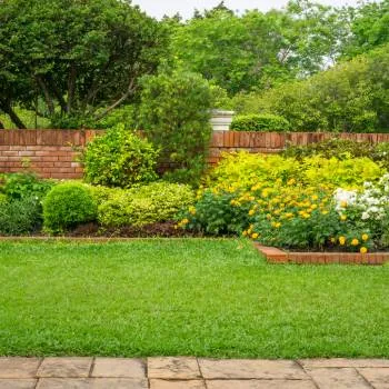 Family backyard with tidy lawn