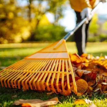 Seasonal cleanup underway