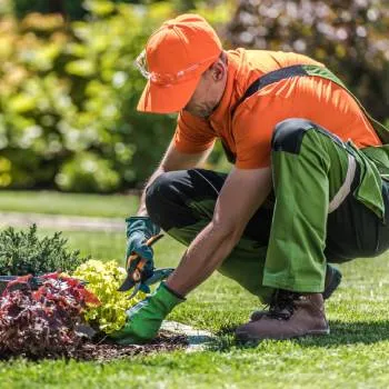 Gardener at work in a Newcastle yard